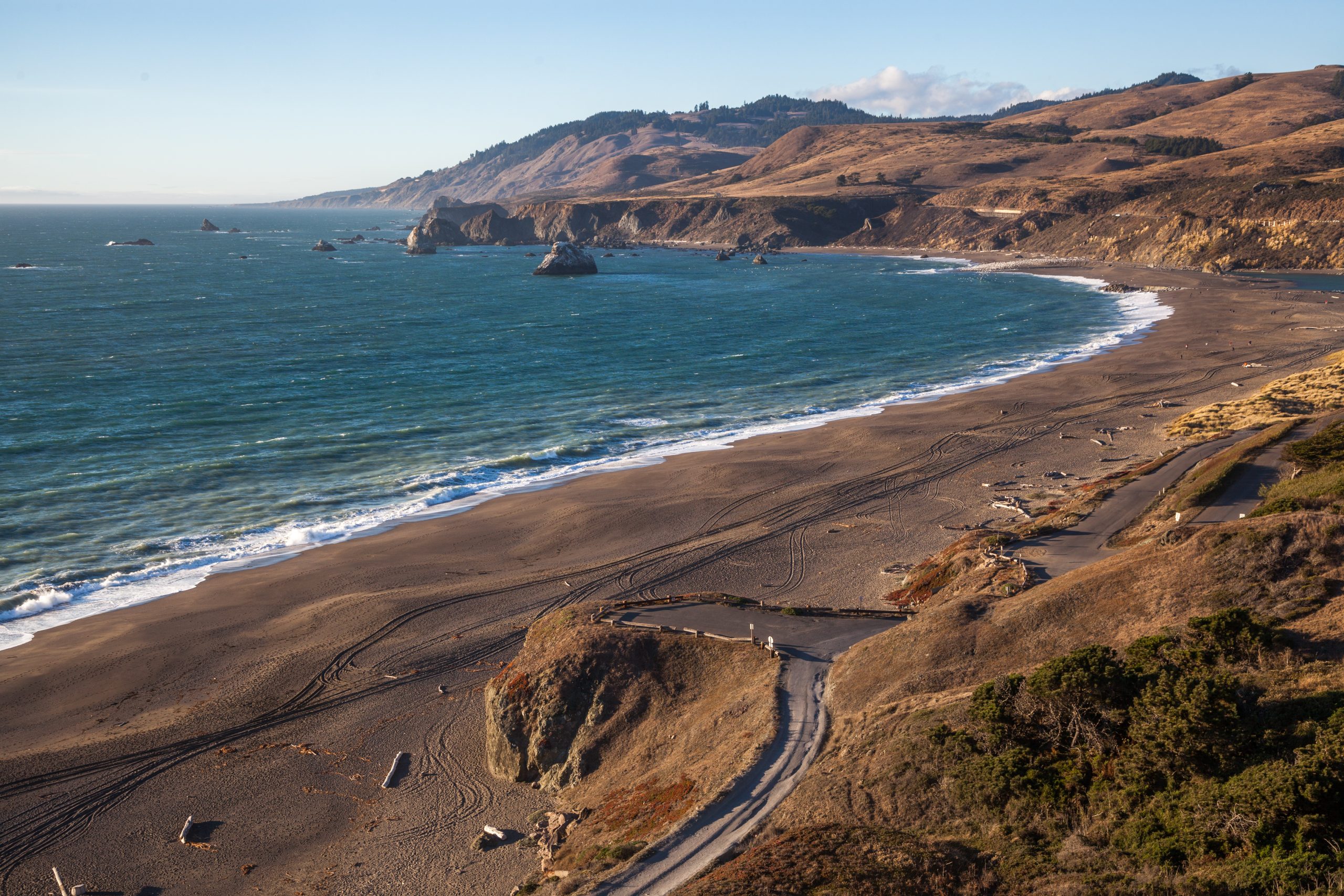 By John Uhrig from Davis, CA, United States - Goat Rock BeachUploaded by PDTillman, CC BY 2.0, https://commons.wikimedia.org/w/index.php?curid=30498414